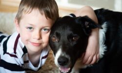 7 Of The Best Dog Breeds For Autism – The Dogington Post