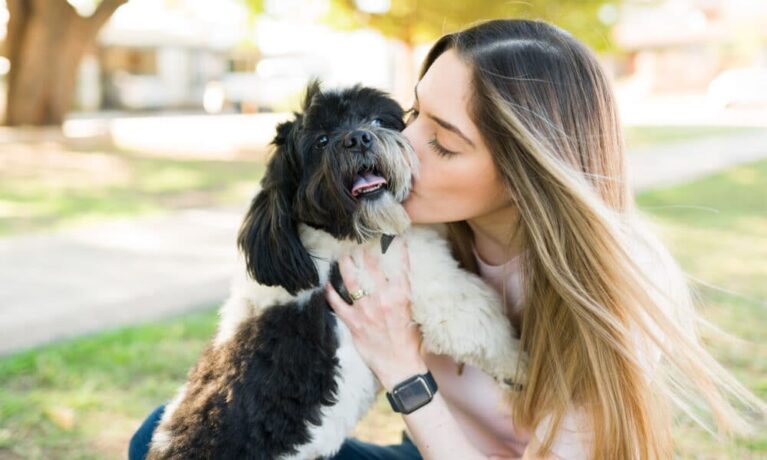 9 Best Breeds For First-Time Dog Owners – The Dogington Post