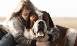 FDA Agrees On The Effectiveness Of Loyal’s Longevity Medication For Large Dogs – The Dogington Post