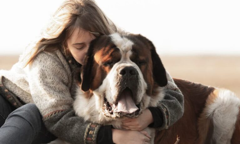 FDA Agrees On The Effectiveness Of Loyal’s Longevity Medication For Large Dogs – The Dogington Post