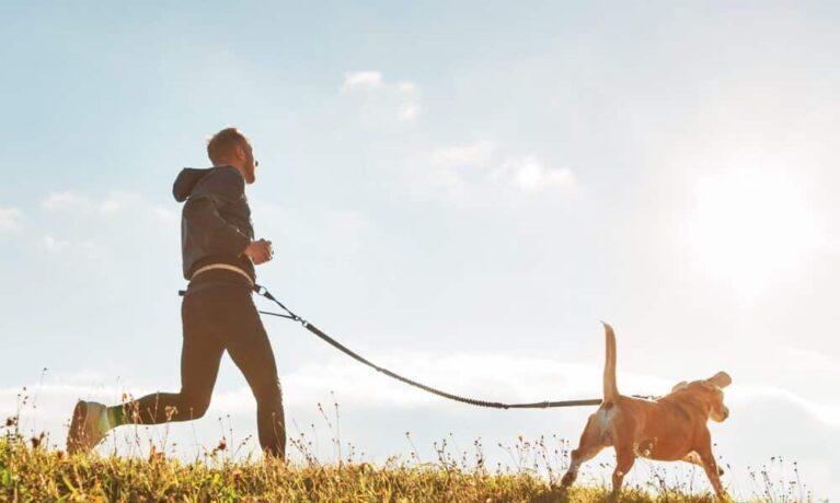 Fitness App Strava Partners With Fi Collar To Help Track Your Dog’s Fitness – The Dogington Post