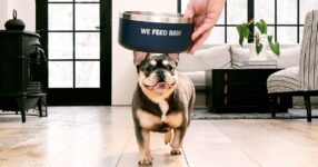 Is We Feed Raw Worth It? Pricing, Formats, and Who It's Best For (2026)