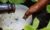 7 Safe And Dog-friendly Snail Bait Alternatives