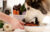 Canine Cuisine: Homemade Dog Treat Recipes Your Pup Will Love